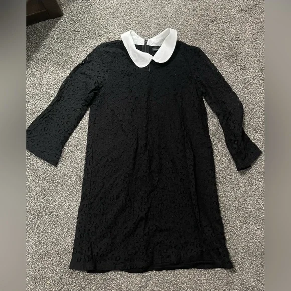 zara black dress white collar ZARA. Black textured dress with lace detail. TS – Hibuy market main image 0